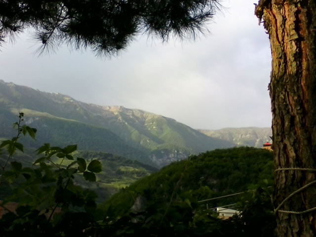 Click to view the original image