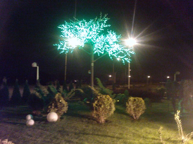 Click to view the original image