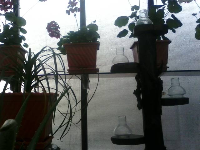 Click to view the original image