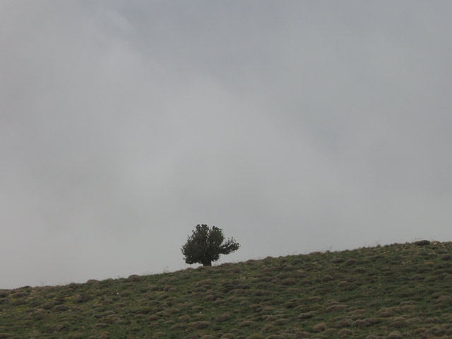 Click to view the original image