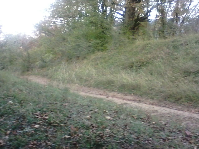 Click to view the original image