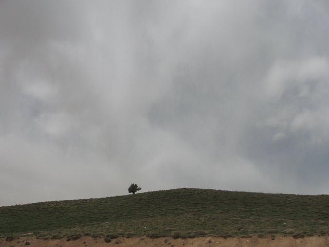 Click to view the original image