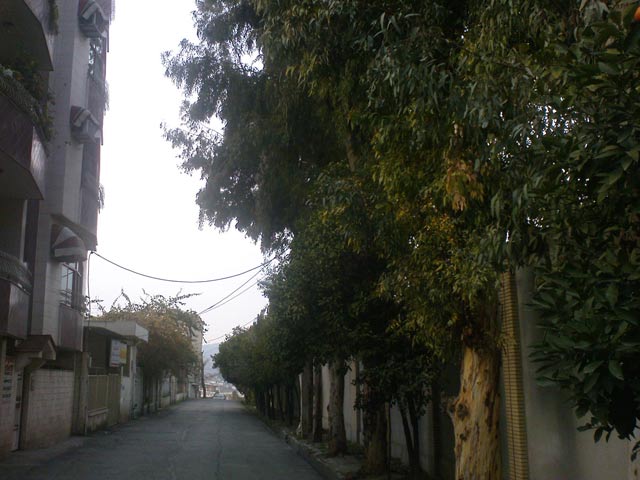 Click to view the original image