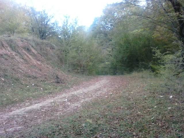 Click to view the original image