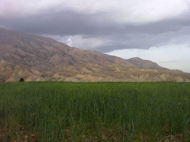 Click to view the original image