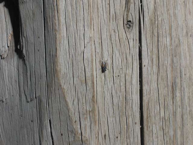 Click to view the original image