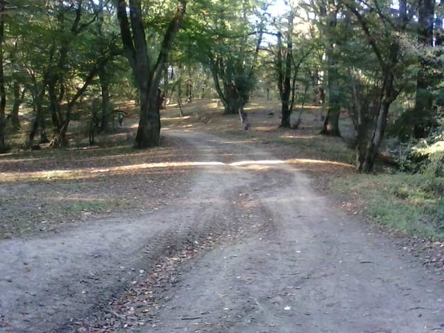 Click to view the original image