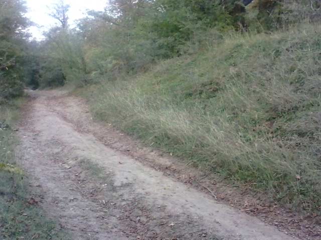 Click to view the original image