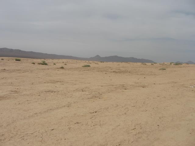 Click to view the original image