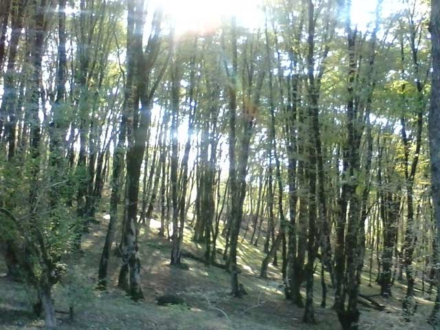 Click to view the original image