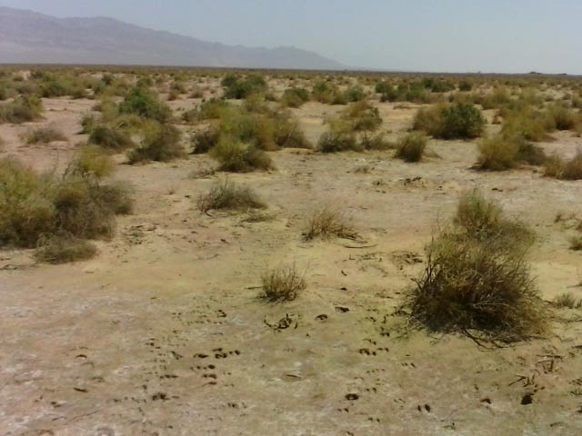 Click to view the original image