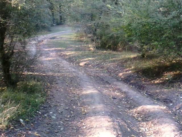 Click to view the original image