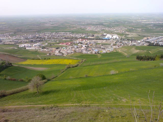 Click to view the original image