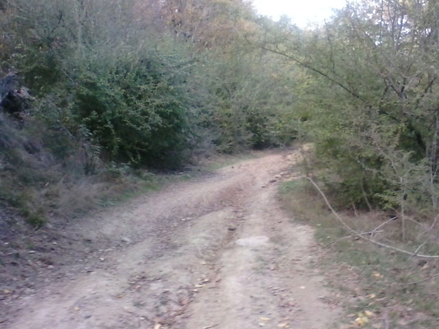 Click to view the original image