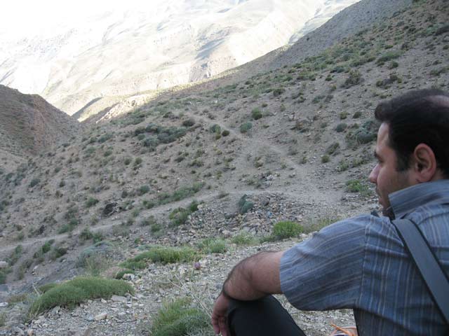 Click to view the original image