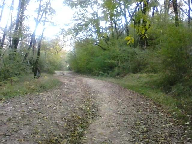 Click to view the original image