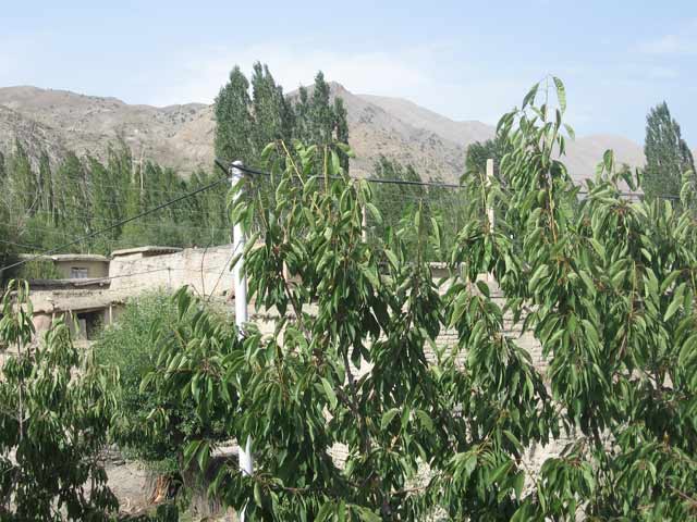 Click to view the original image