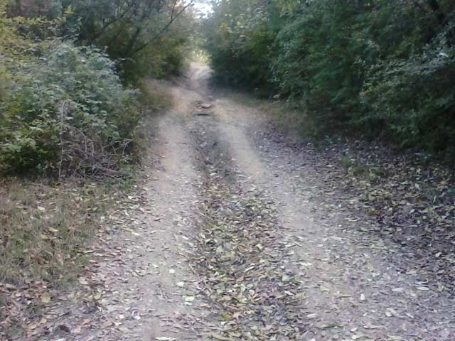 Click to view the original image