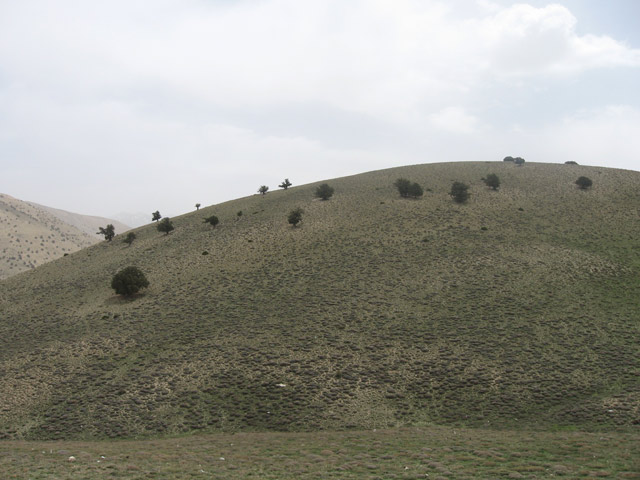 Click to view the original image