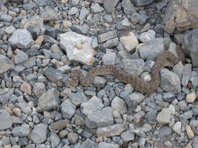 Click to view the original image