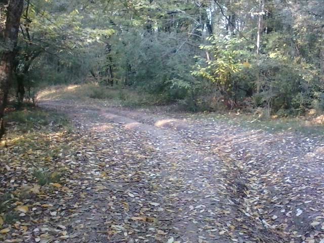 Click to view the original image