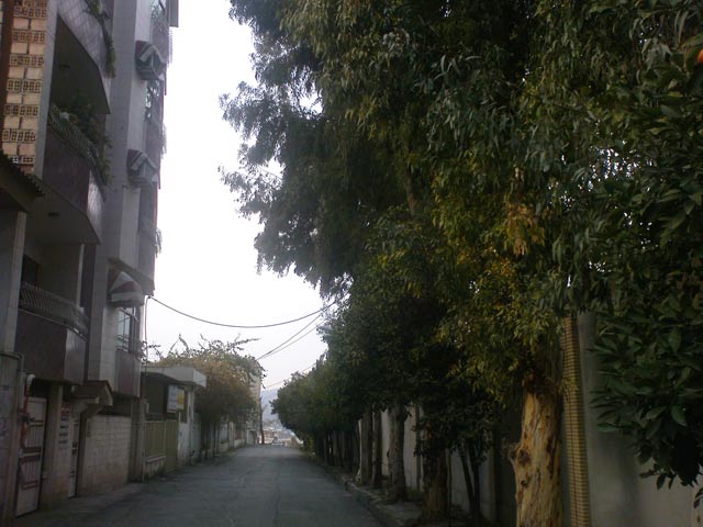 Click to view the original image