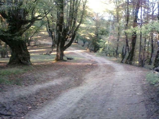 Click to view the original image