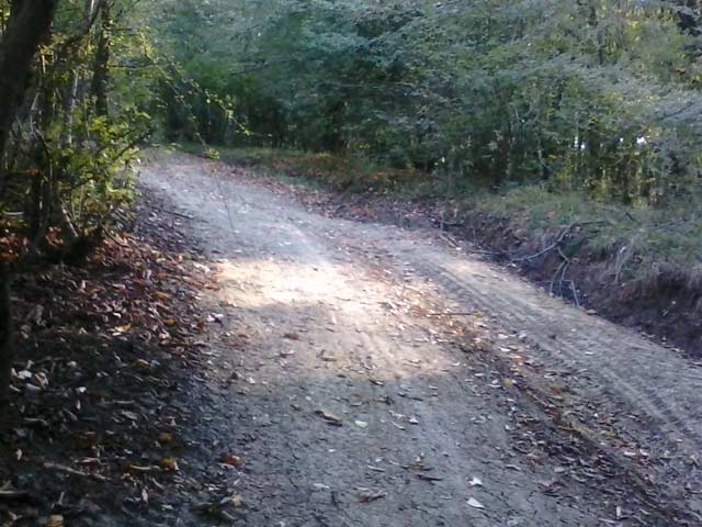 Click to view the original image