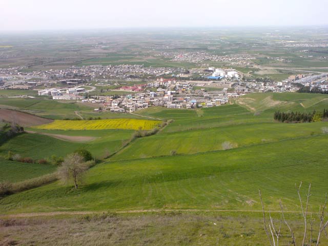 Click to view the original image