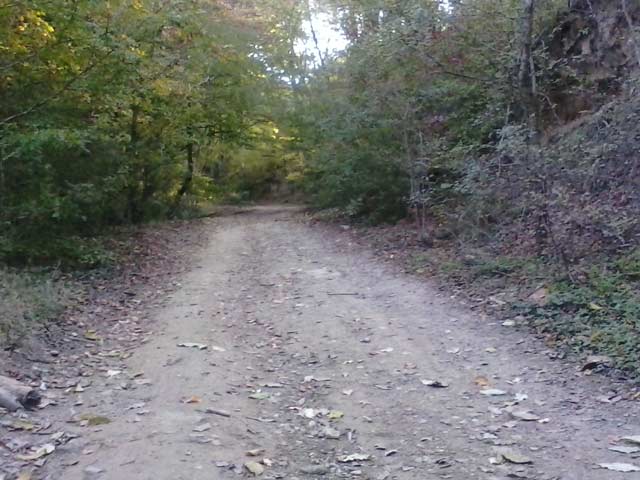 Click to view the original image