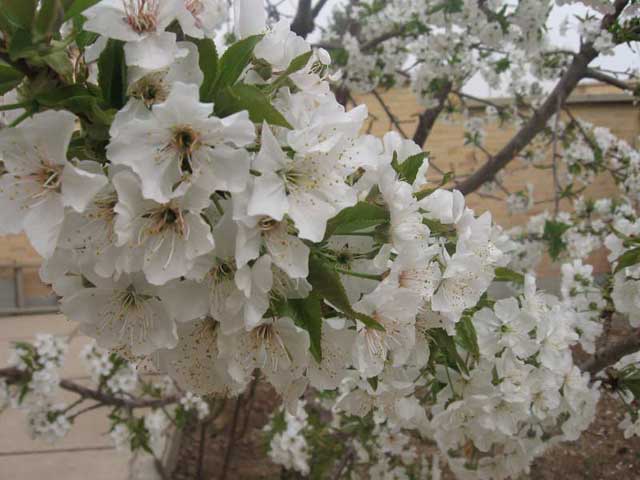 Click to view the original image