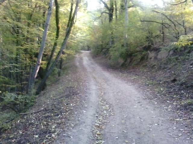 Click to view the original image