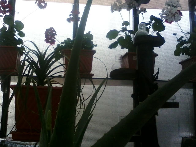 Click to view the original image