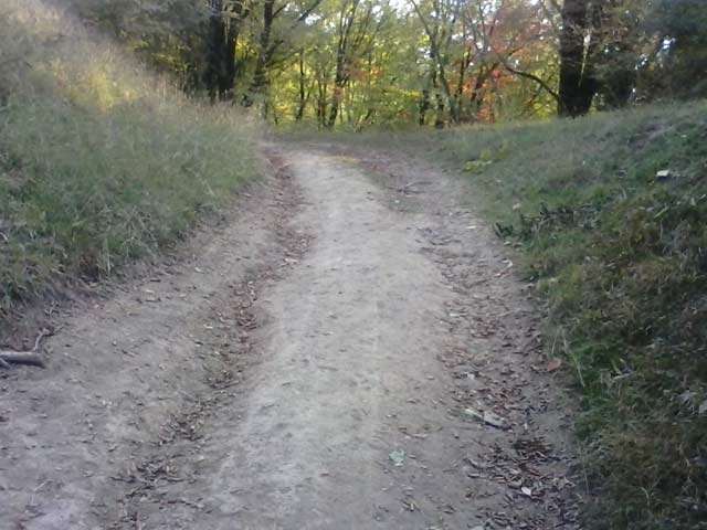 Click to view the original image