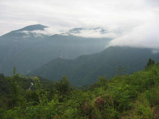 Click to view the original image