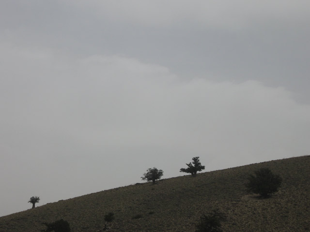 Click to view the original image