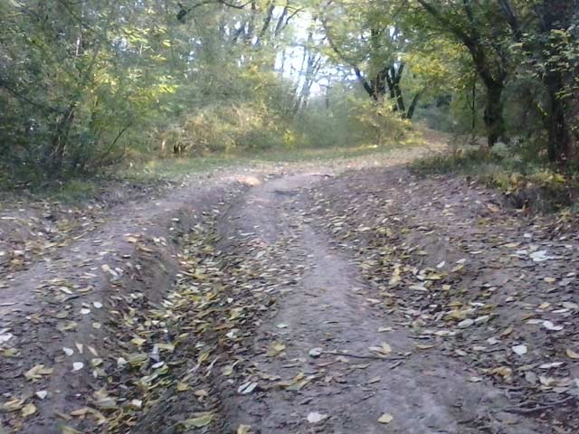 Click to view the original image