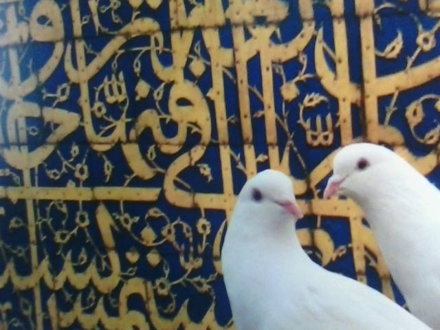 Click to view the original image