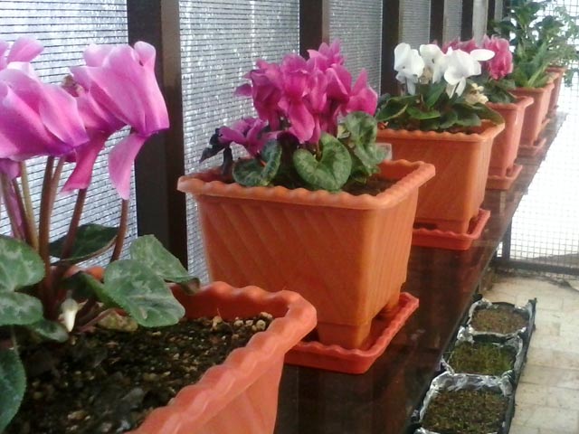 Click to view the original image