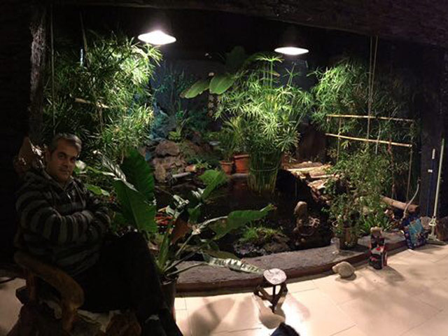 Click to view the original image