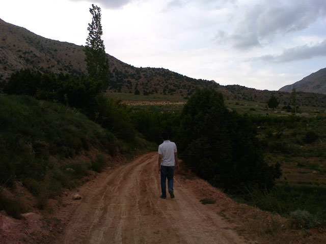 Click to view the original image