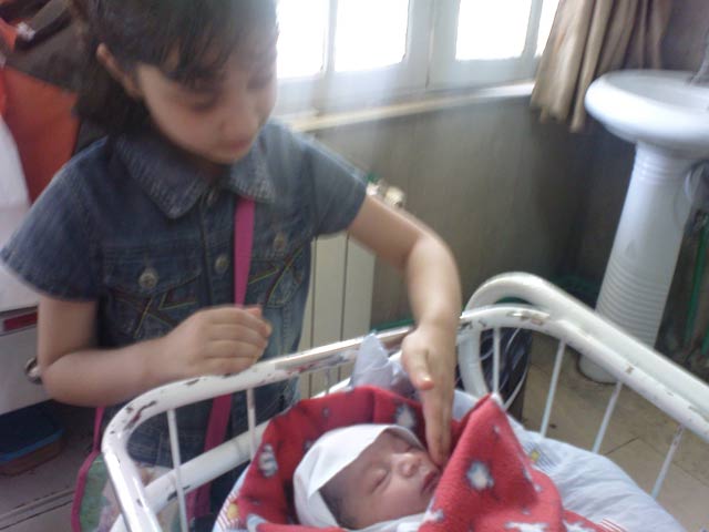 Click to view the original image