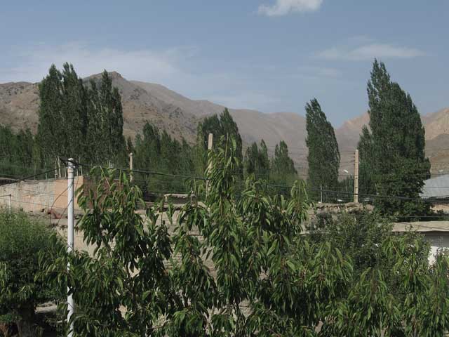 Click to view the original image