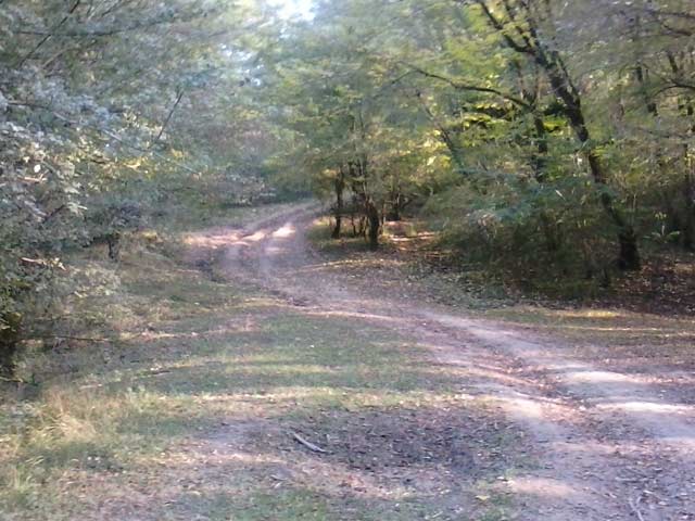 Click to view the original image