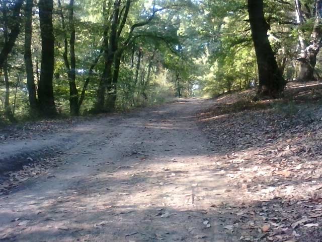 Click to view the original image