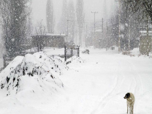 Click to view the original image