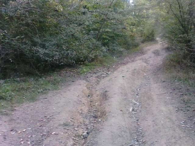 Click to view the original image