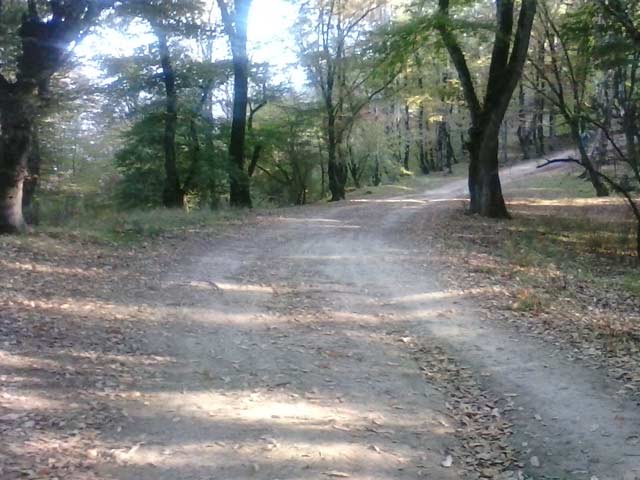 Click to view the original image