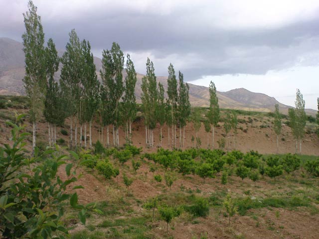 Click to view the original image