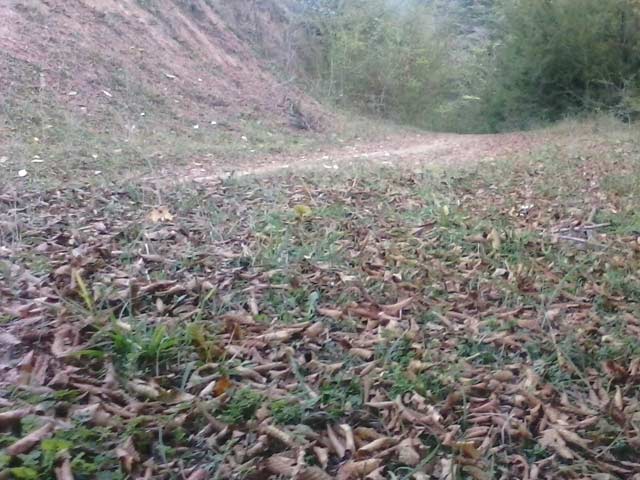 Click to view the original image